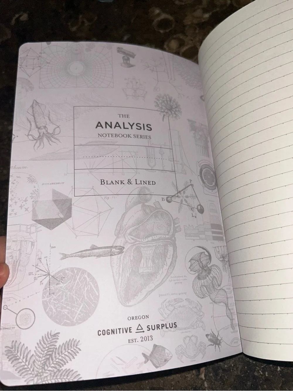 Geology Journal with Elastic Band - Multicolor